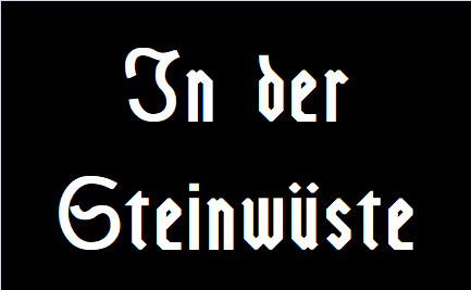 In_der_Steinwueste
