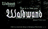 Waldwand Waldwand